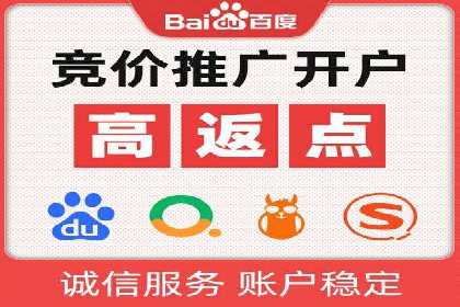百度竞价入门必看：实操技巧与成功案例